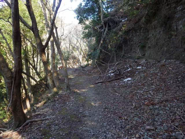 わずかに残った雪