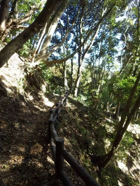 良く整備された道