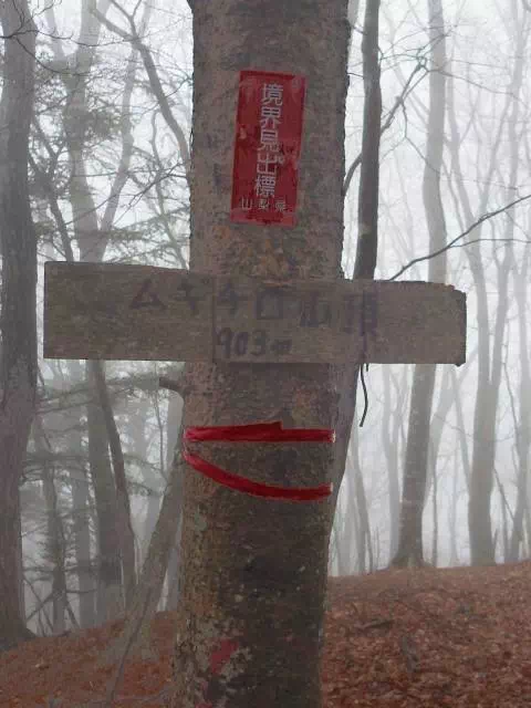 ムギチロ ムギチロ