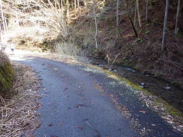 林道歩き 林道歩き