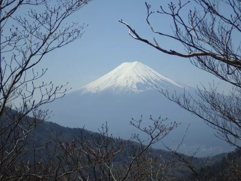 清八山直下からの富士山 清八山直下からの富士山