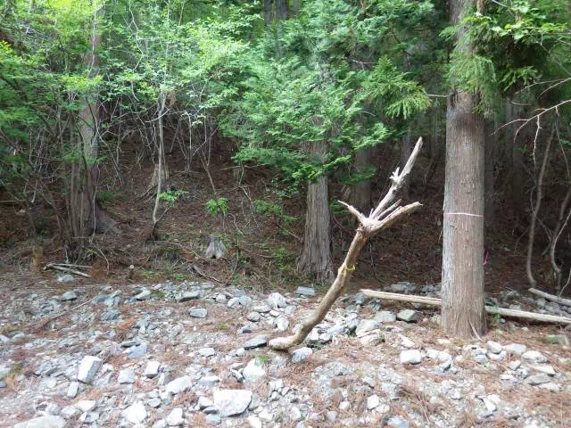 涸れ沢横断 涸れ沢横断