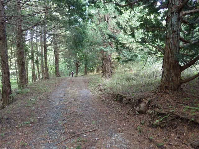林道歩き 林道歩き