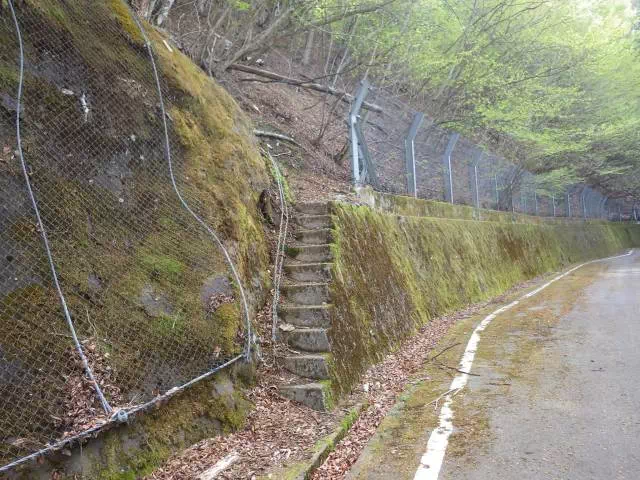 林道出合 林道出合