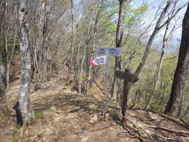 笹子分岐 笹子分岐