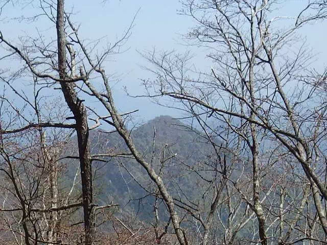 鶴ケ鳥屋山遠望 鶴ケ鳥屋山遠望