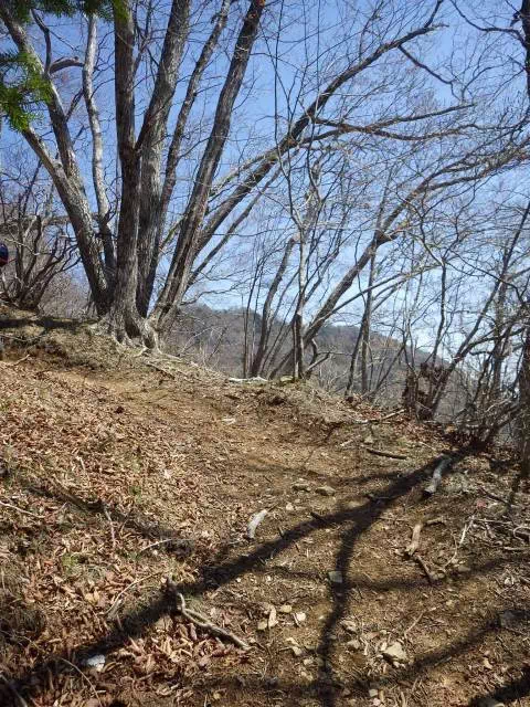 緩い登り 緩い登り