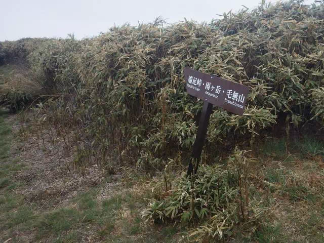 雨ケ岳への道