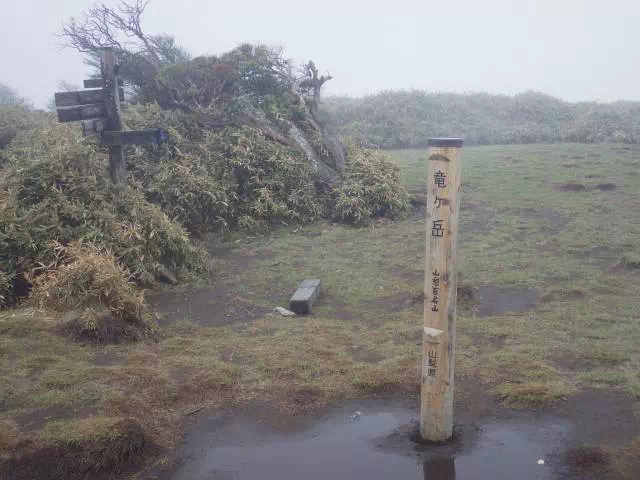 竜ケ岳の山頂
