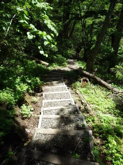 木段下り 木段下り