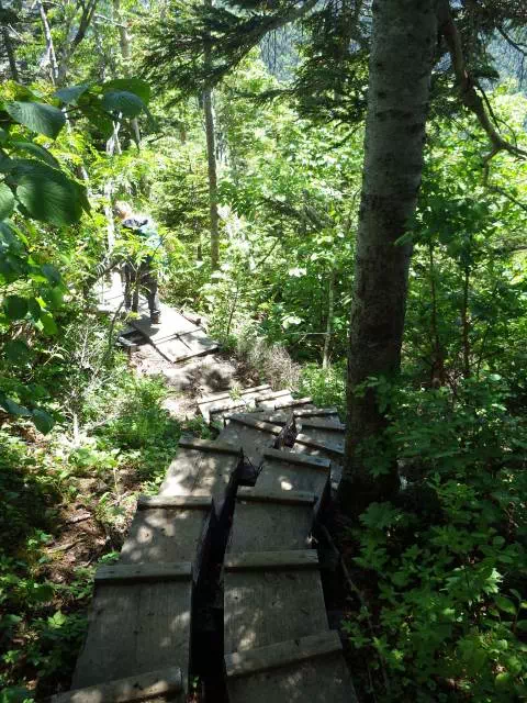 木道下り 木道下り