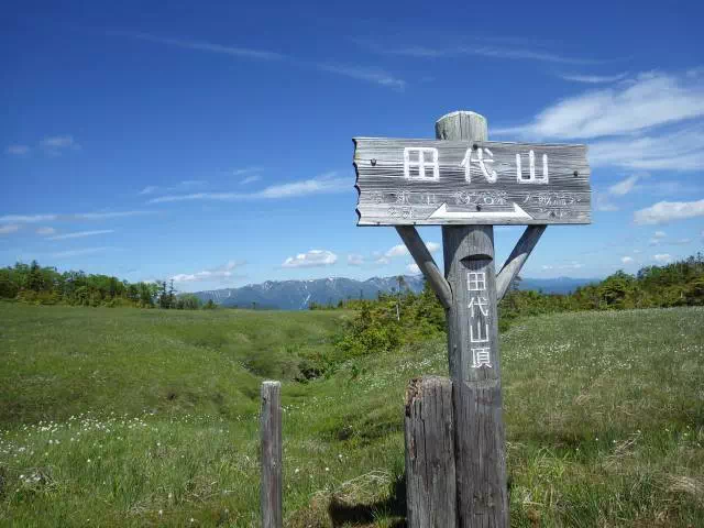 田代山山頂