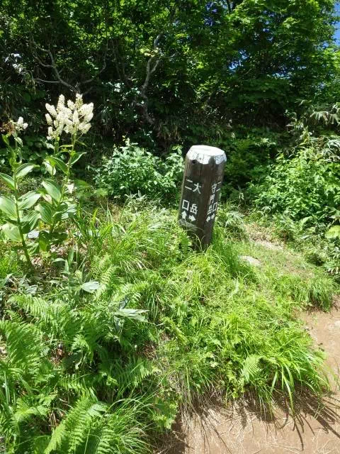 青雲岳山頂 青雲岳山頂