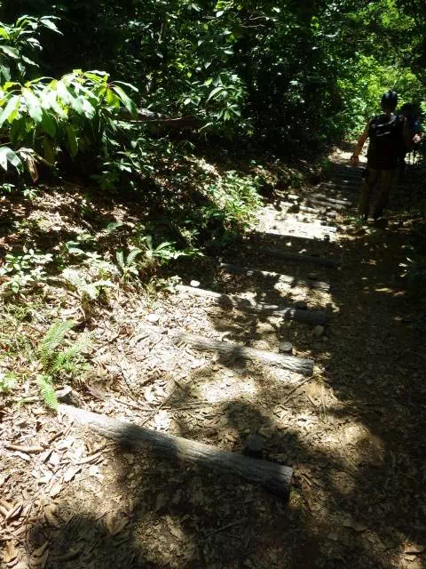 木段下り 木段下り