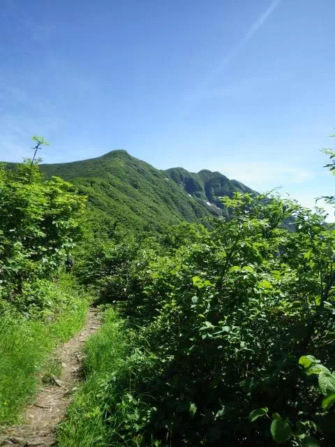 山頂へ 山頂へ