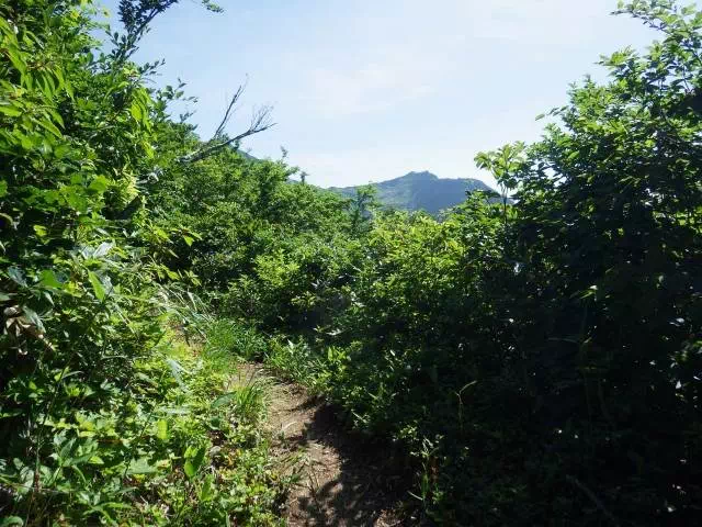 守門岳山頂? 守門岳山頂?