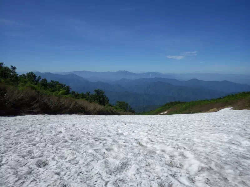 三ノ芝あたりから越後駒ヶ岳 三ノ芝あたりから越後駒ヶ岳