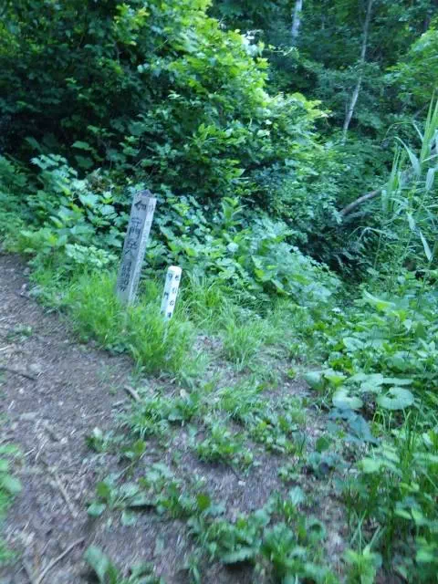 布引ノ滝分岐 布引ノ滝分岐