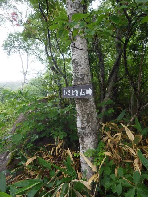 小桟敷山分岐