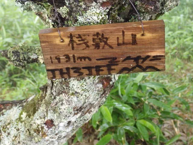 桟敷山山頂
