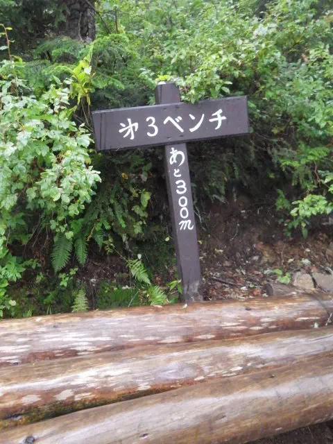 第三ベンチ 第三ベンチ