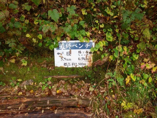 最終ベンチ 最終ベンチ