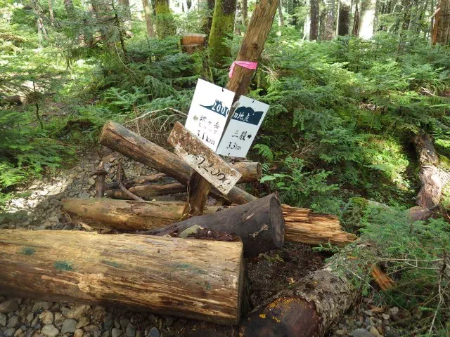 標高2000m 標高2000m