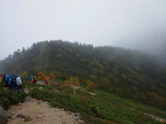 樹林へ入る 樹林へ入る