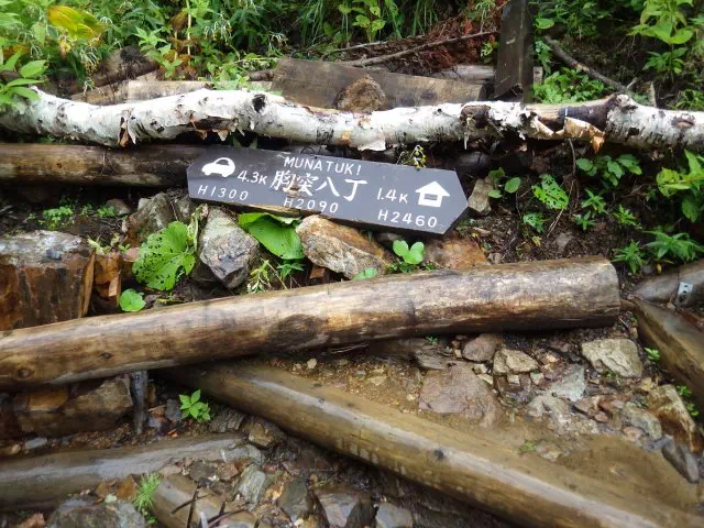 胸突八丁 胸突八丁