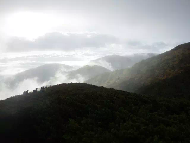 鍋冠方面 鍋冠方面