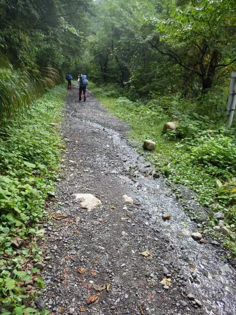 林道歩き 林道歩き