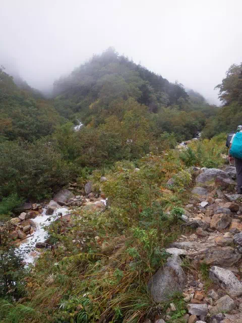 沢を見下ろす 沢を見下ろす