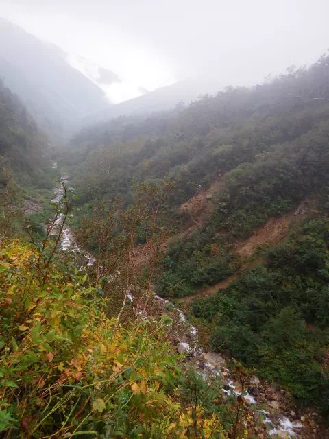 沢を見下ろす 沢を見下ろす