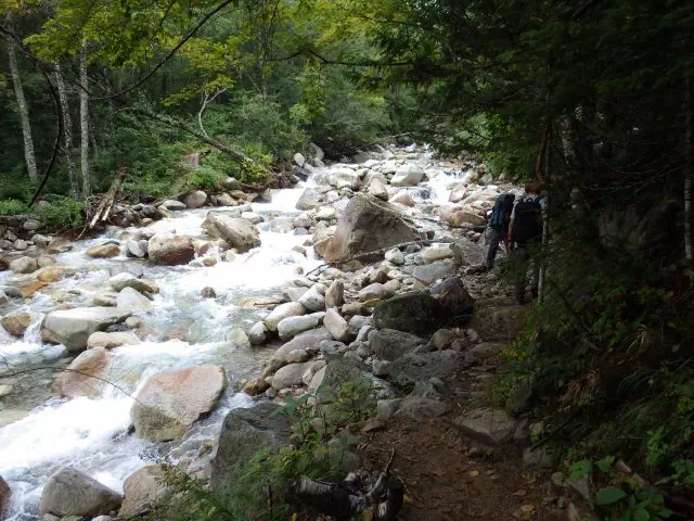 沢沿いの道 沢沿いの道