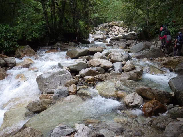 沢沿いの道 沢沿いの道