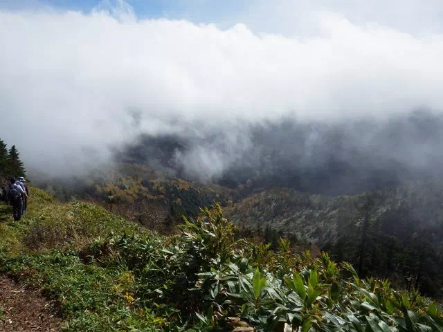 ガスが出る ガスが出る