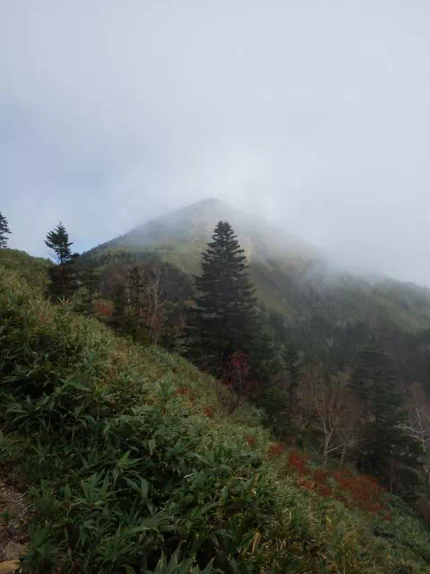岩菅山 岩菅山