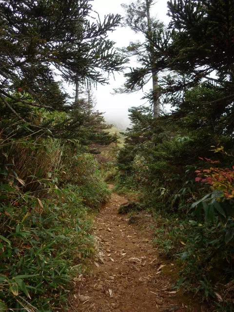 岩菅山へ 岩菅山へ