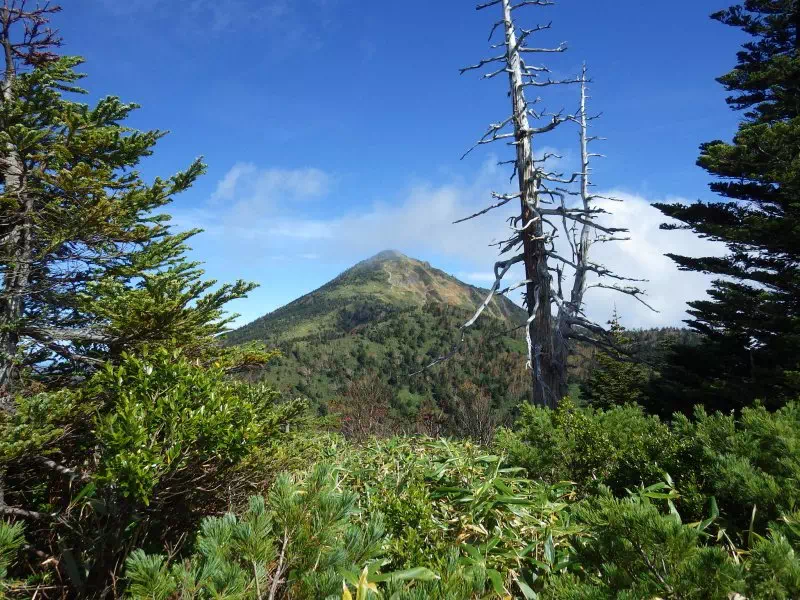 岩菅山 岩菅山