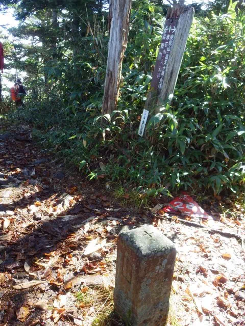 金山沢の頭 金山沢の頭