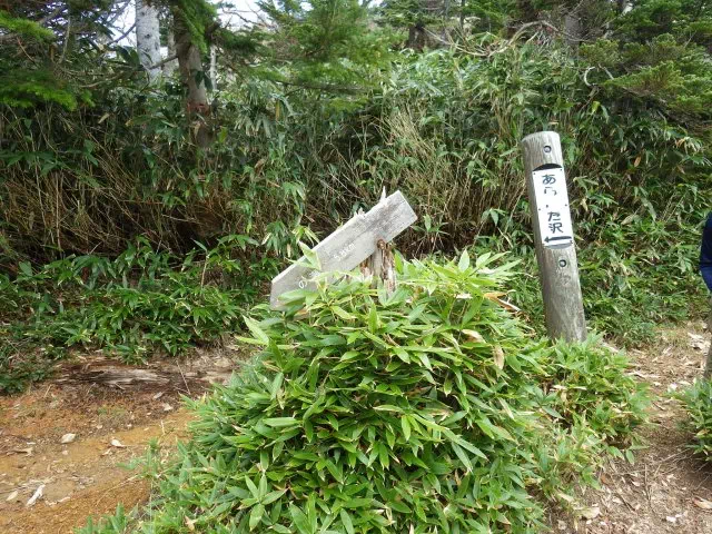 のっきり のっきり