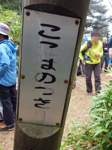 のっきり のっきり