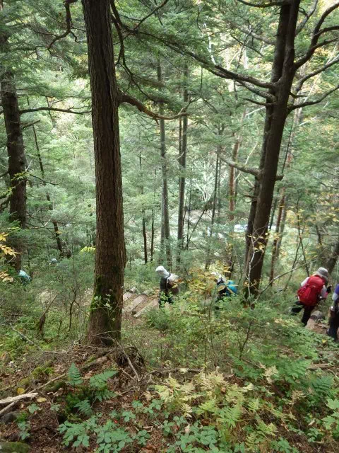 沢へ下り 沢へ下り