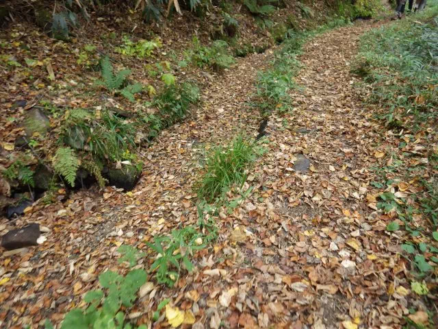 用水路沿い 用水路沿い