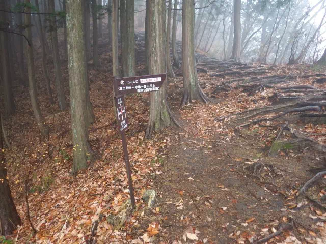 北コース分岐 北コース分岐