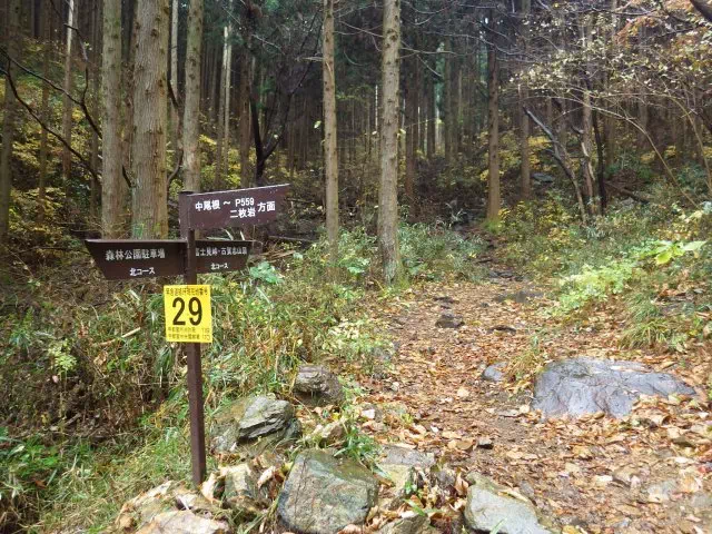 中尾根分岐 中尾根分岐