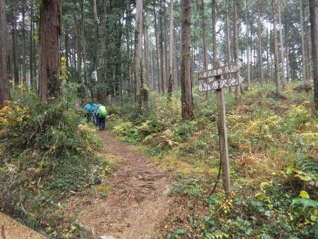 登山道 登山道
