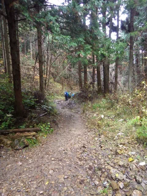 緩い下り 緩い下り