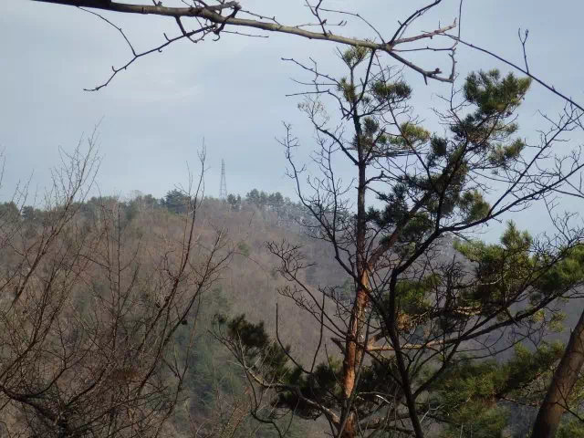 興因寺山遠望 興因寺山遠望