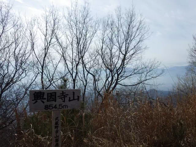 興因寺山 興因寺山